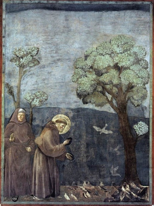 096. Ottocento anni di Cantico. Un formidabile gesto innovatore